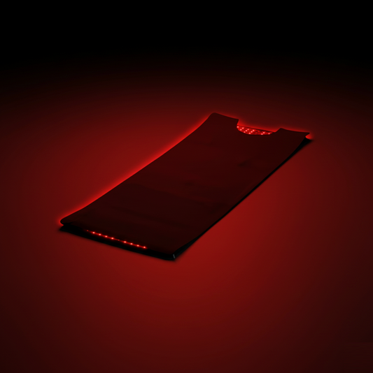 Red and Near-Infrared Light Therapy Full Body Bag