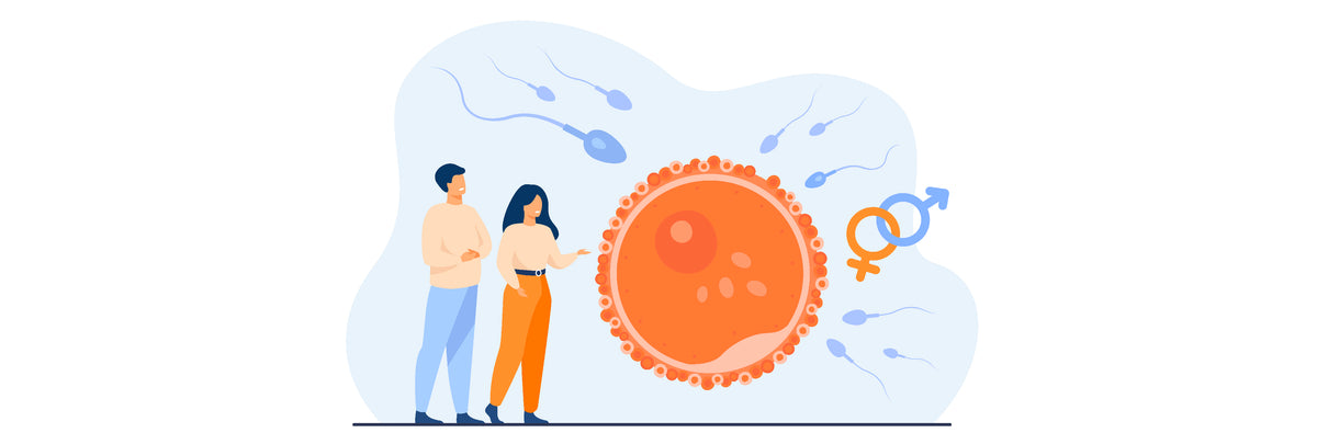 Improving Fertility – Future Form